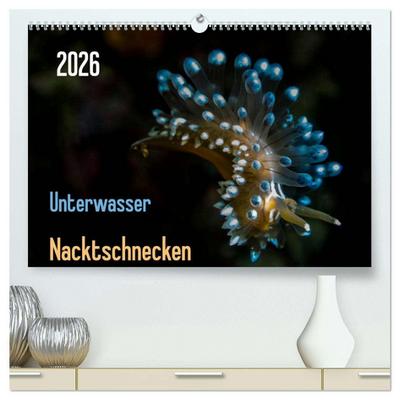 Unterwasser - Nacktschnecken 2026 (hochwertiger Premium Wandkalender 2026 DIN A2 quer), Kunstdruck in Hochglanz