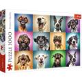 Puzzles - "1000" - Lustige Hunde Porträts
