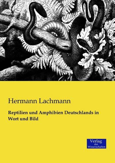 Reptilien und Amphibien Deutschlands in Wort und Bild