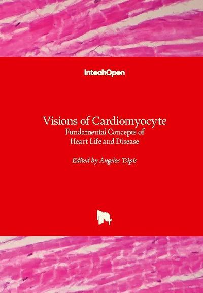 Visions of Cardiomyocyte