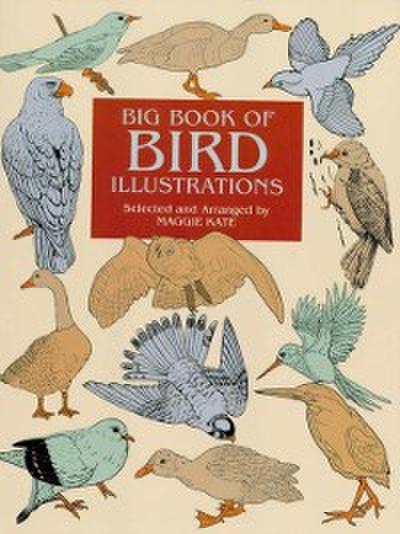 Big Book of Bird Illustrations