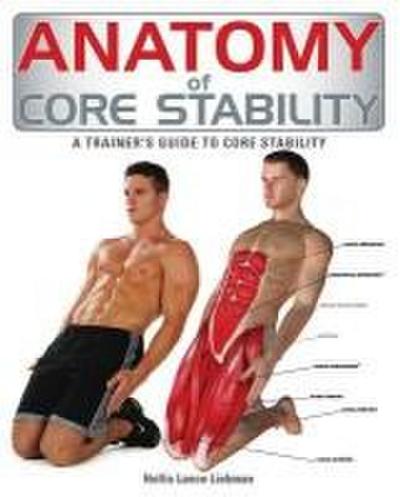 Anatomy of Core Stability