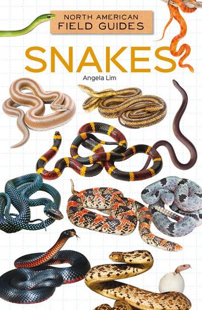 Snakes