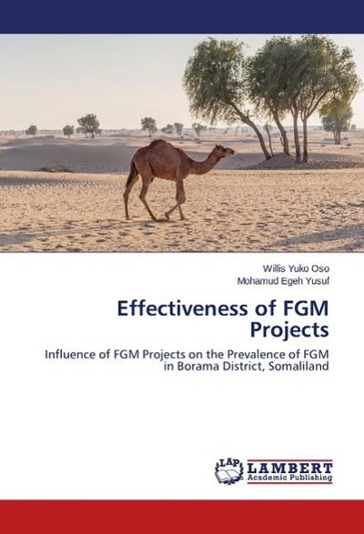 Effectiveness of FGM Projects