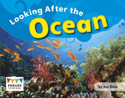 Looking After the Ocean