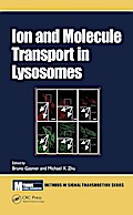 Ion and Molecule Transport in Lysosomes