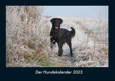 Der Hundekalender 2023 Fotokalender DIN A4
