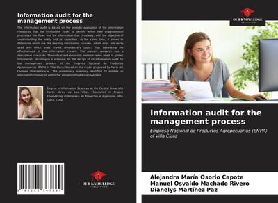 Information audit for the management process