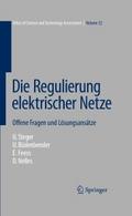 Die Regulierung elektrischer Netze