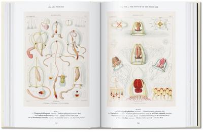 The Art and Science of Ernst Haeckel. 40th Ed.