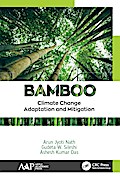 Bamboo
