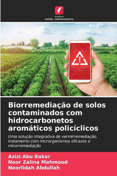 Biorremediação de solos contaminados com hidrocarbonetos aromáticos policíclicos