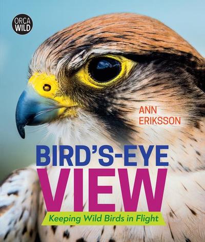 Bird’s-Eye View