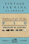 Embryology of The Pig