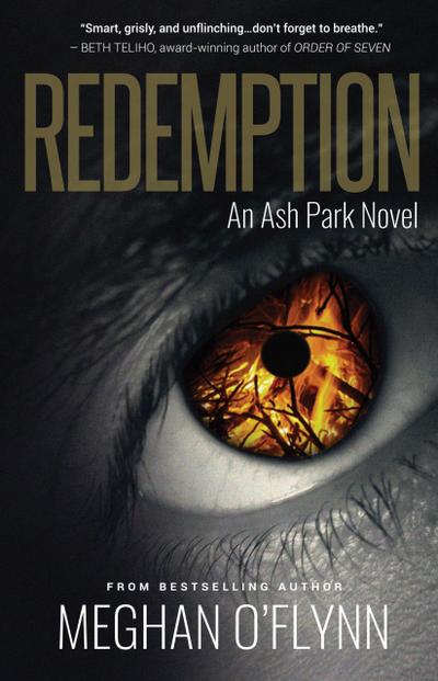 Redemption: A Gritty Hardboiled Crime Thriller (Ash Park, #6)