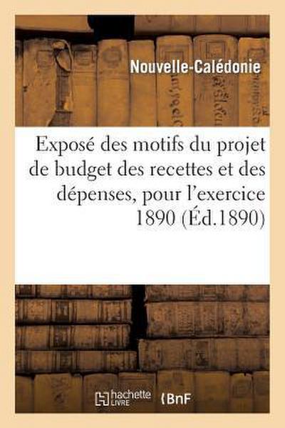 Exposé Des Motifs Du Projet de Budget Des Recettes Et Des Dépenses: , Du Service Local Pour l’Exercice 1890