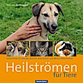 Heilströmen für Tiere