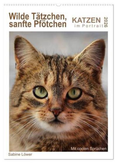 Wilde Tätzchen, sanfte Pfötchen (Wandkalender 2026 DIN A2 hoch), CALVENDO Monatskalender