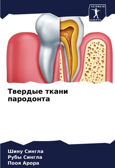 Twerdye tkani parodonta