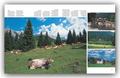 Journey through Tirol - Reise durch Tirol