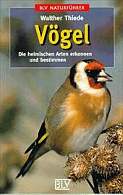 Vögel: Die heimischen Arten erkennen und bestimmen (BLV Naturführer)