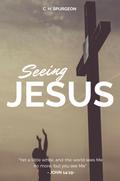 Seeing Jesus