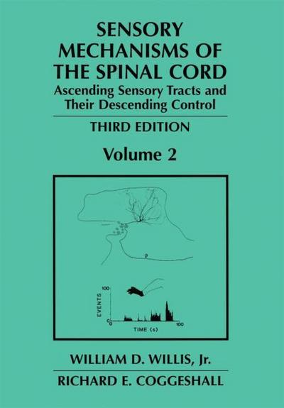 Sensory Mechanisms of the Spinal Cord