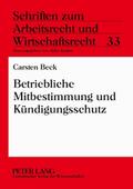 Betriebliche Mitbestimmung und Kündigungsschutz