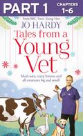 Tales from a Young Vet: Part 1 of 3