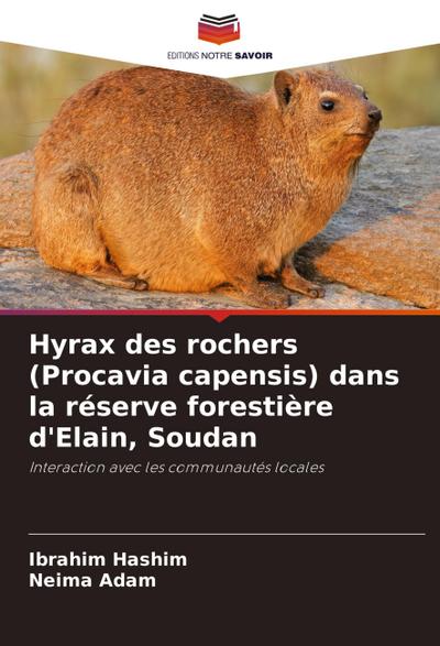 Hyrax des rochers (Procavia capensis) dans la réserve forestière d’Elain, Soudan