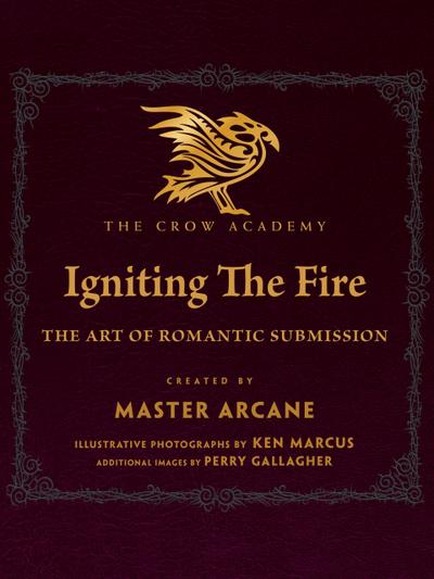 Igniting The Fire: The Art of Romantic Submission (The Crow Academy, #1)