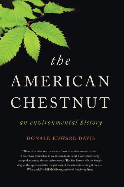 The American Chestnut