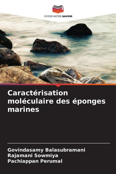 Caractérisation moléculaire des éponges marines