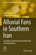 Alluvial Fans in Southern Iran