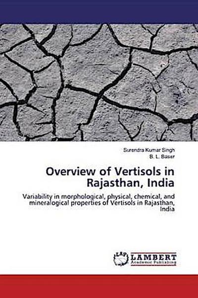 Overview of Vertisols in Rajasthan, India