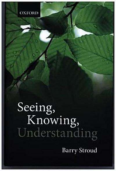 Seeing, Knowing, Understanding