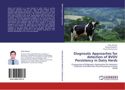 Diagnostic Approaches for detection of BVDV Persistency in Dairy Herds