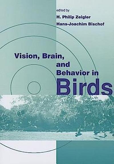 Vision, Brain, and Behavior in Birds