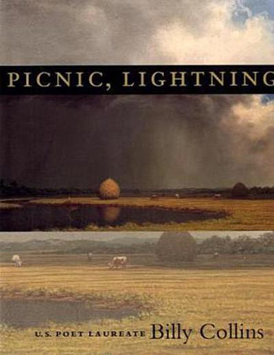 Picnic, Lightning