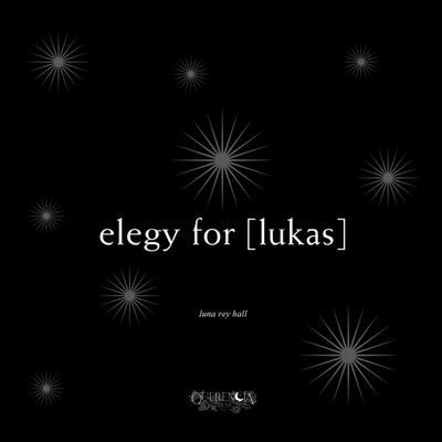 elegy for [lukas]