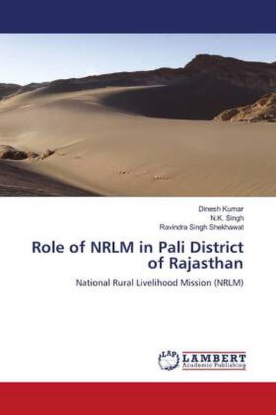 Role of NRLM in Pali District of Rajasthan