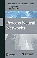 Process Neural Networks