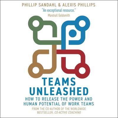 Teams Unleashed Lib/E: How to Release the Power and Human Potential of Work Teams