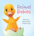 Animal Babies
