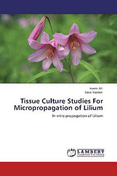 Tissue Culture Studies For Micropropagation of Lilium