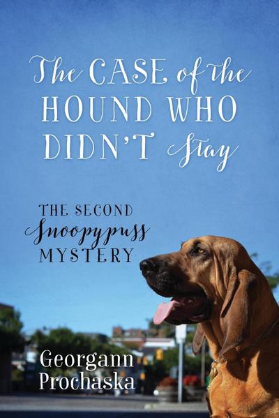The Case of the Hound Who Didn’t Stay