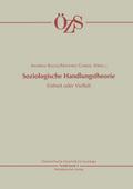 Soziologische Handlungstheorie