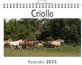 Criollo