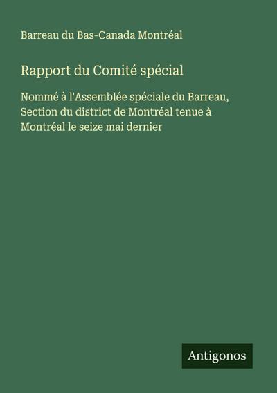 Rapport du Comité spécial