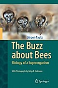 The Buzz about Bees